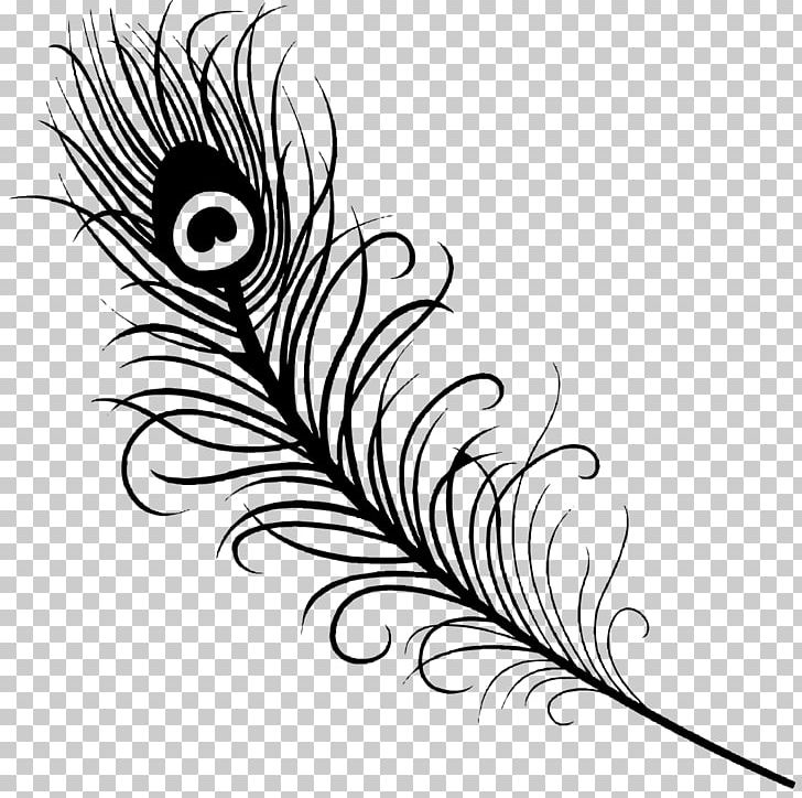 Feather Peafowl Wall Decal Sticker PNG, Clipart, Animals, Artwork, Beak, Bird, Black Free PNG Download