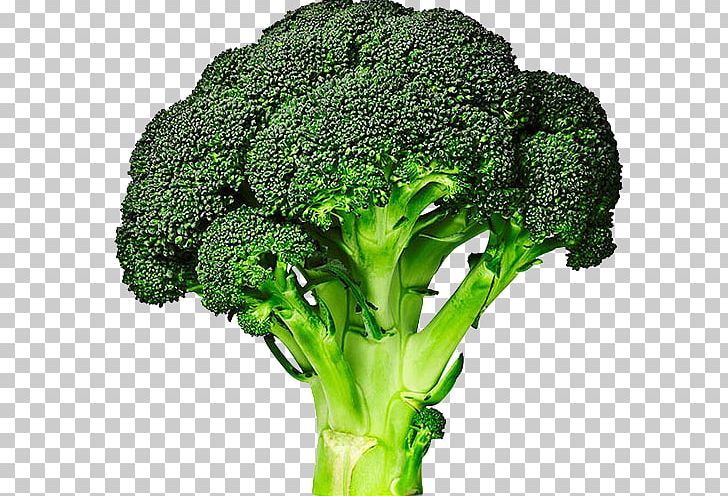 Broccolini Cabbage Vegetable Broccoli Sprouts PNG, Clipart, Background Green, Brassica Oleracea, Broccoli, Cabbage Family, Chinese Cabbage Free PNG Download