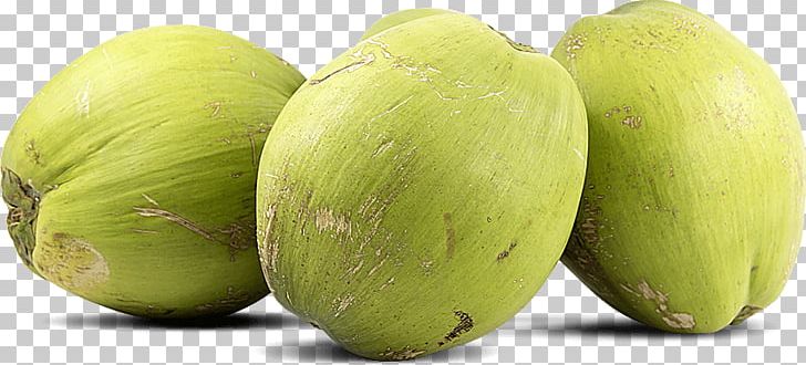Coconut Water Food Arecaceae Honeydew PNG, Clipart, Arecaceae, Coco, Coconut, Coconut Water, Cucumber Gourd And Melon Family Free PNG Download