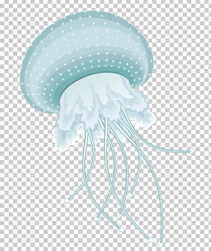 Jellyfish Information PNG, Clipart, 2017, Animation, Clip Art, Cnidaria, Color Motion Picture Film Free PNG Download
