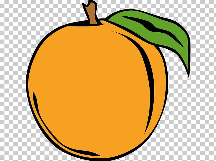 Peach PNG, Clipart, Apple, Artwork, Calabaza, Commodity, Cucurbita Free PNG Download