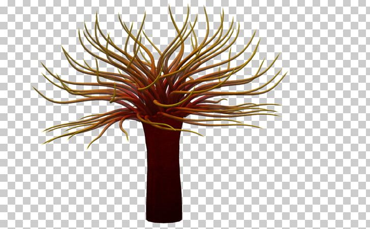 Sea Anemone Jellyfish Marine Biology PNG, Clipart, 3d Computer Graphics, Anemone, Coral, Flower, Flowerpot Free PNG Download