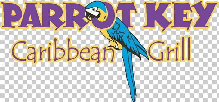 Parrot Key Caribbean Grill Fort Myers Beach Macaw Logo PNG, Clipart, Advertising, Banner, Beak, Bird, Brand Free PNG Download