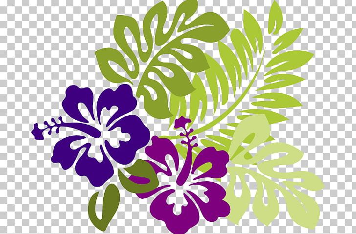 Shoeblackplant Open Hawaiian Hibiscus Mallows PNG, Clipart, Branch, Computer Icons, Cut Flowers, Drawing, Flora Free PNG Download