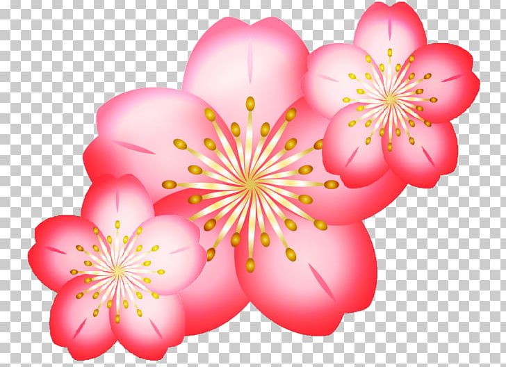 Cherry Blossom Digital Art PNG, Clipart, Art, Blossom, Cherry, Cherry Blossom, Cutie Mark Chronicles Free PNG Download