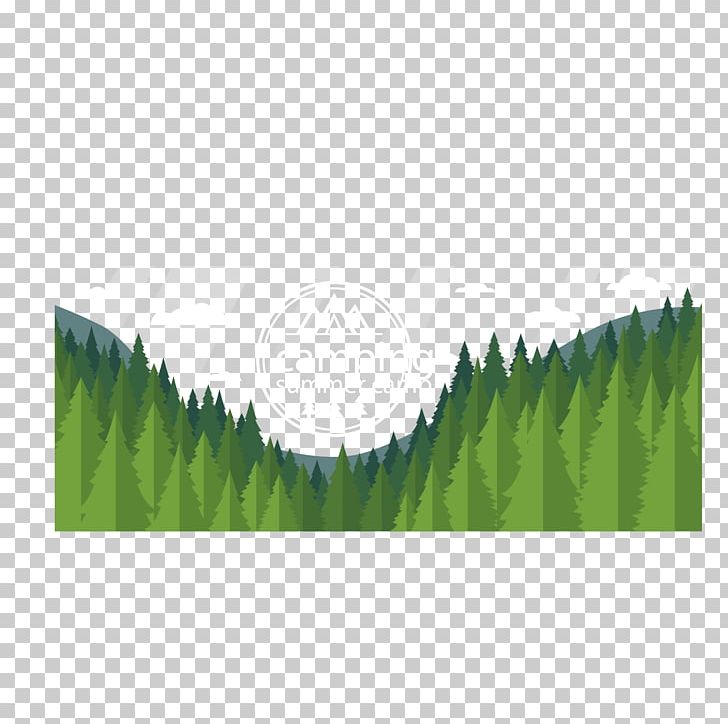 Forest Euclidean Green PNG, Clipart, Adobe Illustrator, Angle, Artworks, Background Green, Border Free PNG Download