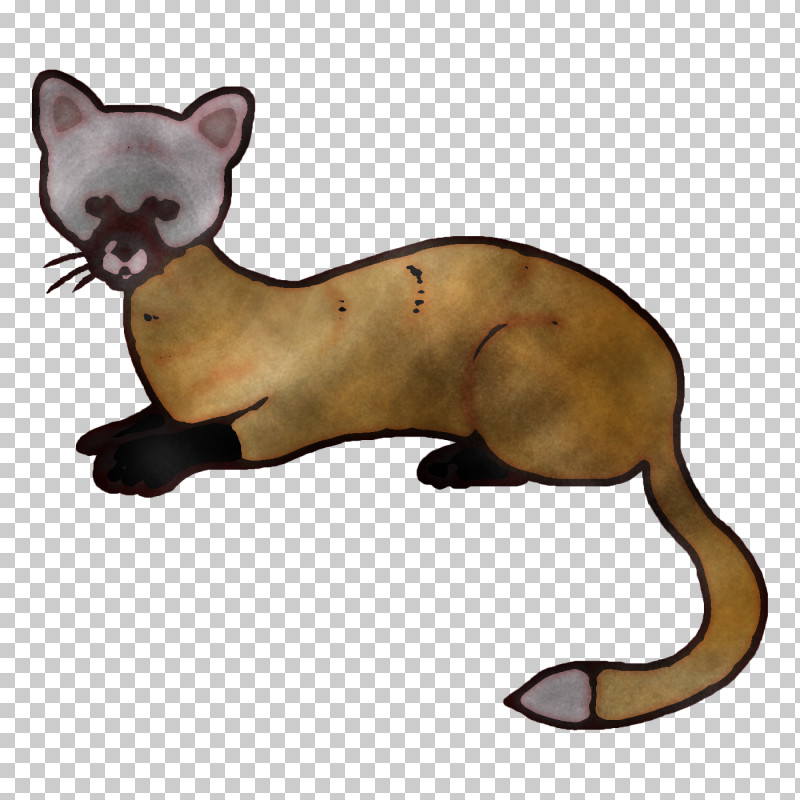 Whiskers Cat Mustelids Puma PNG, Clipart, Biology, Cat, Dog, Mustelids, Puma Free PNG Download
