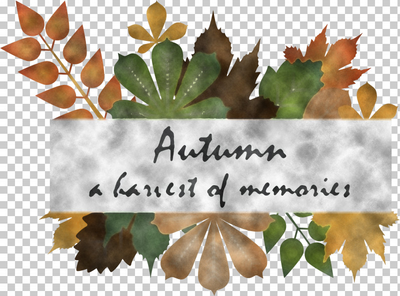 Hello Autumn Happy Fall Autumn Background PNG, Clipart, Autumn Background, Biology, Happy Fall, Hello Autumn, Law Free PNG Download