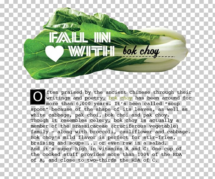 Leaf Vegetable Shoe PNG, Clipart, Art, Brand, Grass, Greengrocer, Leaf Vegetable Free PNG Download
