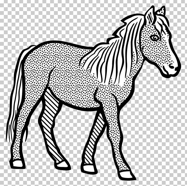 Mule Pony Ausmalbild Mustang PNG, Clipart, Head, Horse, Horse Supplies, Horse Tack, Mammal Free PNG Download