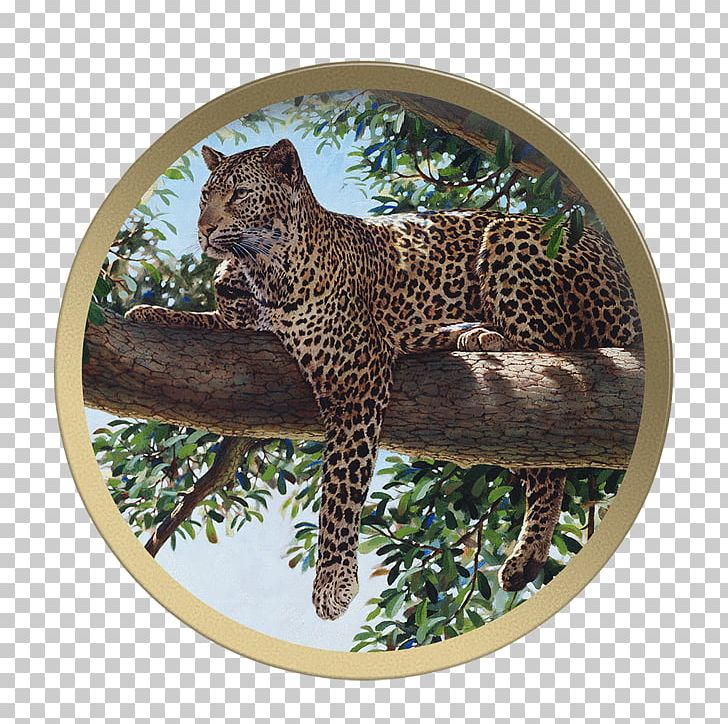 Leopard Jaguar Cheetah Fauna Wildlife PNG, Clipart, Animal, Animals, Big  Cats, Book, Carnivoran Free PNG Download