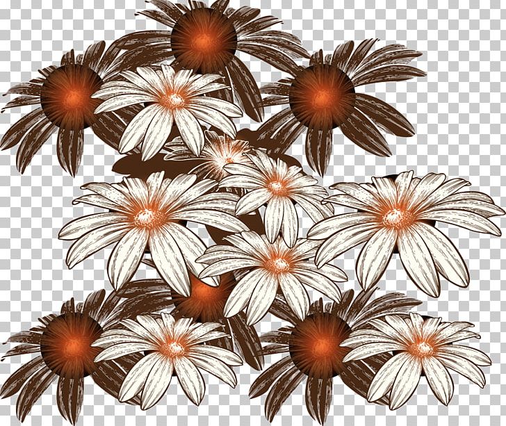 Photography PNG, Clipart, Chrysanthemum, Chrysanthemum Vector, Drawing, Euclidean Vector, Float Free PNG Download