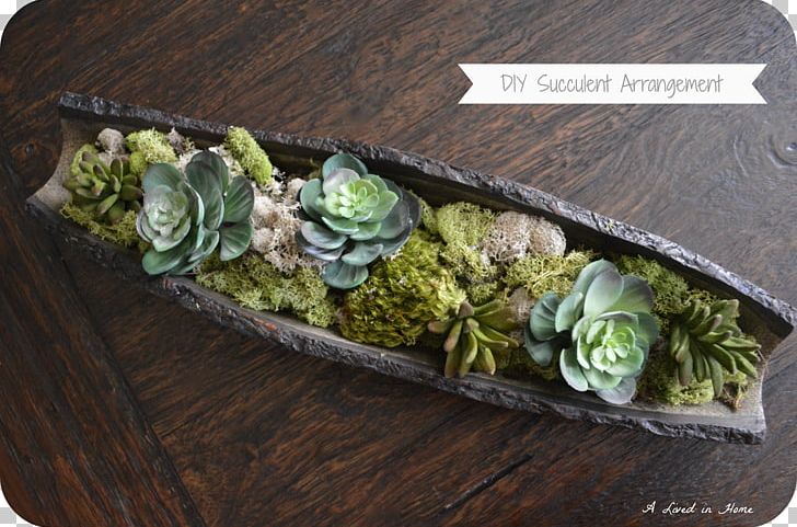 Succulent Plant Do It Yourself Boat Crate & Barrel PNG, Clipart, Amp, Arrangement, Barrel, Boat, Crate Free PNG Download