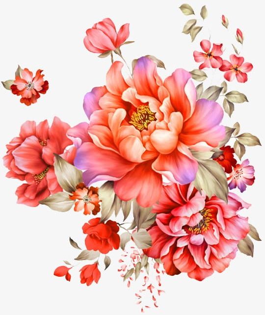 Beautiful Hand-painted Peony Pattern Material PNG, Clipart, Backgrounds, Beautiful, Beautiful Clipart, Beautiful Hand Painted Peony, Bouquet Free PNG Download
