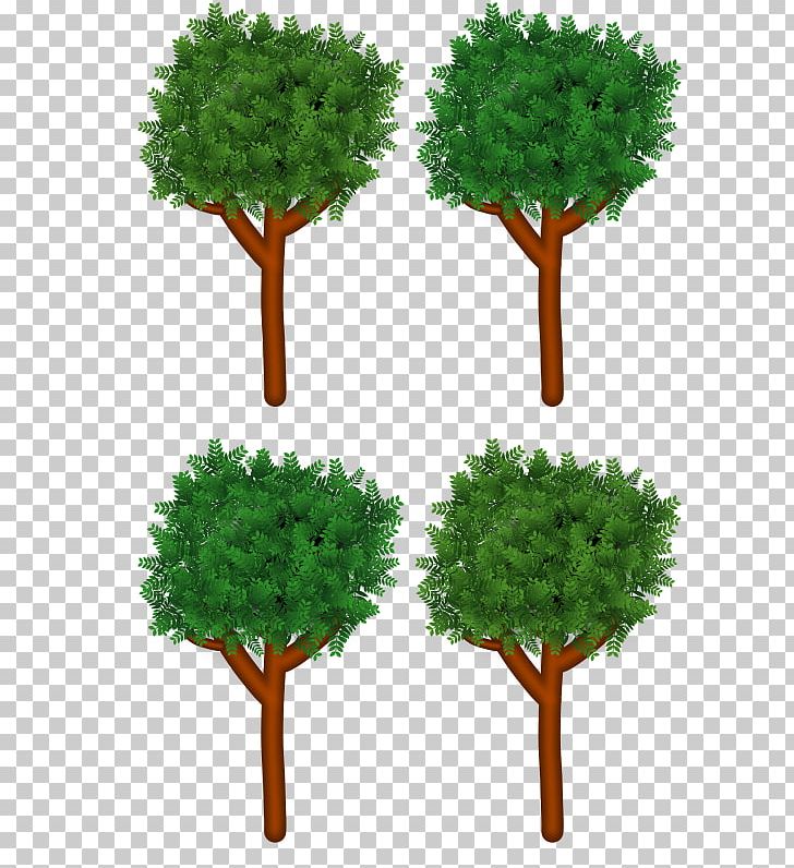 Branch Tree Forest PNG, Clipart, Arecaceae, Branch, Computer Icons, Evergreen, Flowerpot Free PNG Download