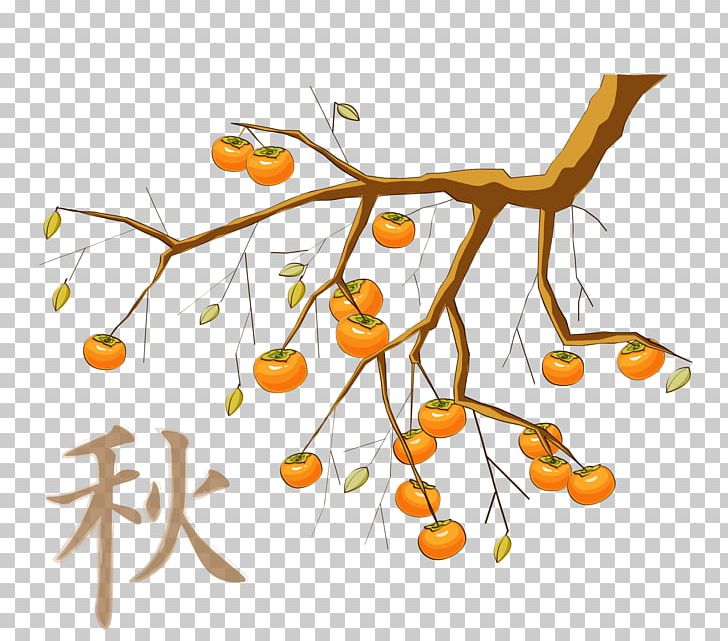 Japanese Persimmon Food PNG, Clipart, Autumn, Autumn Tree, Branch, Christmas Tree, Download Free PNG Download
