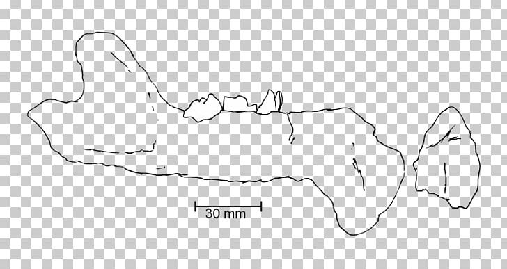 Thumb Line Art Drawing Sketch PNG, Clipart, Angle, Arm, Art, Artwork, Cartoon Free PNG Download