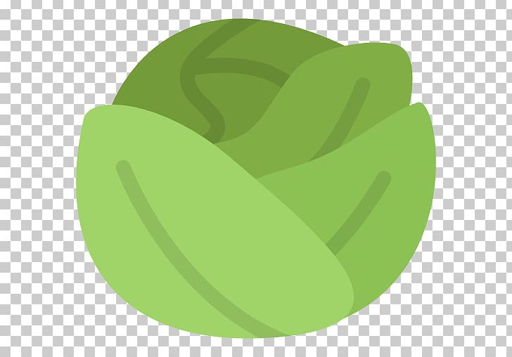 Food Aarstiderne Auglis Fruit PNG, Clipart, Aarstiderne, Auglis, Cabbage, Circle, Ecology Free PNG Download
