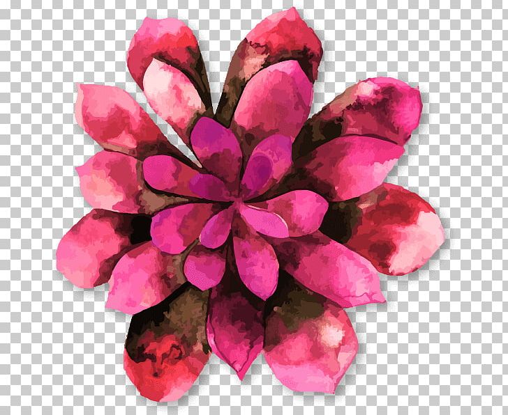 Blog Kōchi Prefecture Nangoku Service Area Social Networking Service Twitter PNG, Clipart, Annual Plant, Blog, Common Cold, Cut Flowers, Family Free PNG Download