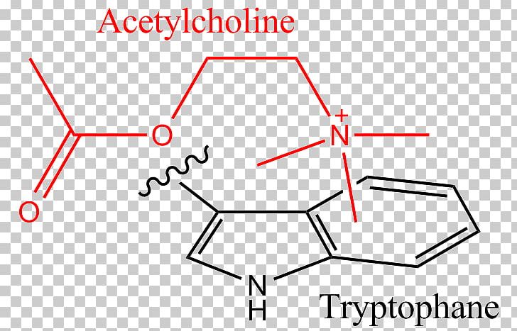 Cation–pi Interaction Stacking Tryptophan Pi Bond PNG, Clipart, Acetylcholine, Acetylcholine Receptor, Angle, Area, Benzene Free PNG Download