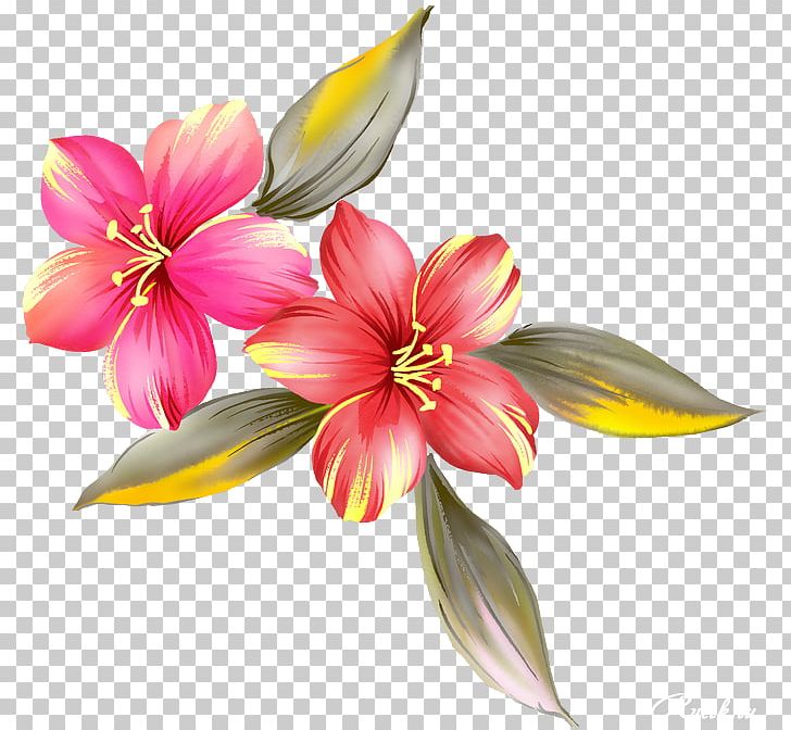 Cut Flowers Honduras History Woman PNG, Clipart, Culture, Cut Flowers, Female, Floriculture, Flower Free PNG Download