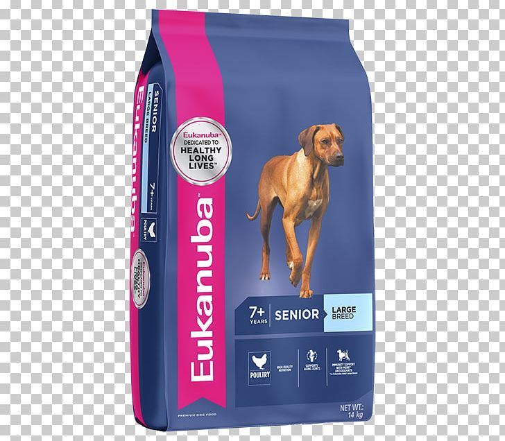 Dog Food Puppy Eukanuba Dog Breed PNG, Clipart, Breed, Dog, Dog Breed, Dog Food, Dog Like Mammal Free PNG Download