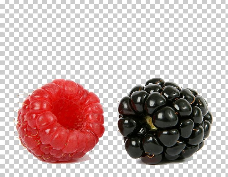 Frutti Di Bosco Blackberry Raspberry PNG, Clipart, Aggregate Fruit, Apple Fruit, Berry, Blackberries, Blackberry Free PNG Download