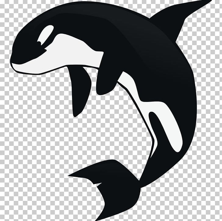 Killer Whale Cetacea PNG, Clipart, Artwork, Beak, Black, Black And White, Cetacea Free PNG Download