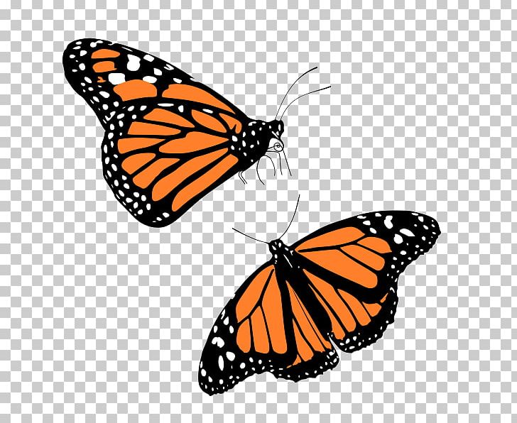 Monarch Butterfly PNG, Clipart, Arthropod, Brush Footed Butterfly, Butterfly, Computer Icons, Download Free PNG Download