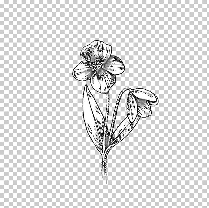 Petal Cut Flowers Leaf Body Jewellery White PNG, Clipart, Artwork, Black And White, Body, Body Jewellery, Body Jewelry Free PNG Download