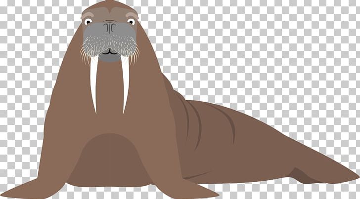 Sea Lion Walrus Cartoon Fauna Illustration PNG, Clipart, Animal, Animals,  Brown, Carnivoran, Hand Drawn Free PNG