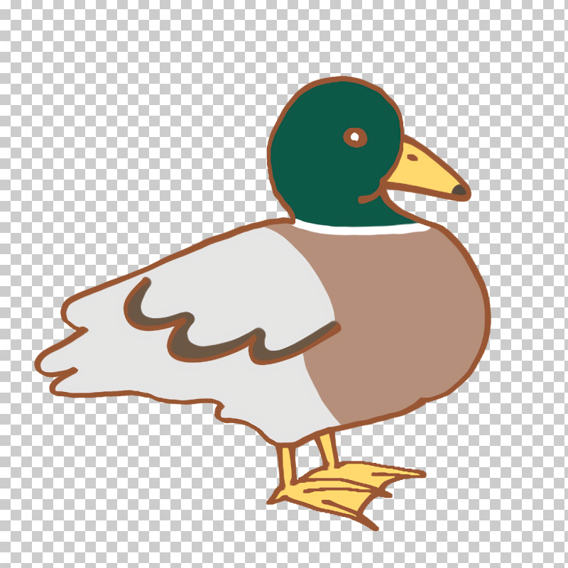 Duck Ducks Waterfowl Beak Cartoon PNG, Clipart, Beak, Cartoon, Duck, Ducks, Grey Geese Free PNG Download