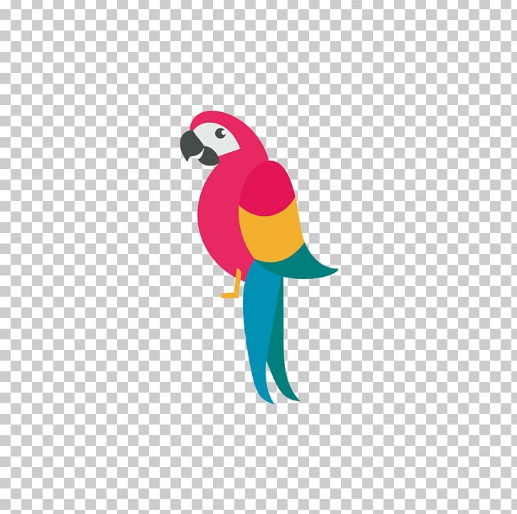 Draw Birds Parrot Drawing PNG, Clipart, Animals, Beak, Bird, Bird Flight, Computer Wallpaper Free PNG Download