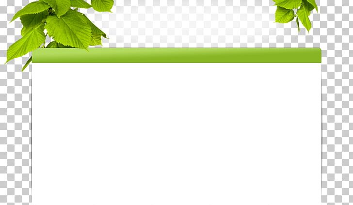 Leaf Green Tree Line PNG, Clipart, Angle, Grass, Green, Leaf, Lindens Free PNG Download