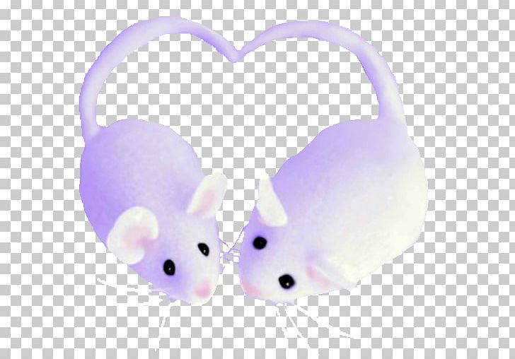 Mouse Rat Cat Ear PNG, Clipart, Animals, Audio, Cat, Ear, Lover Free PNG Download