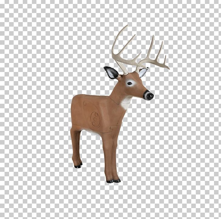 Reindeer White-tailed Deer Target Archery Hunting PNG, Clipart,  Free PNG Download