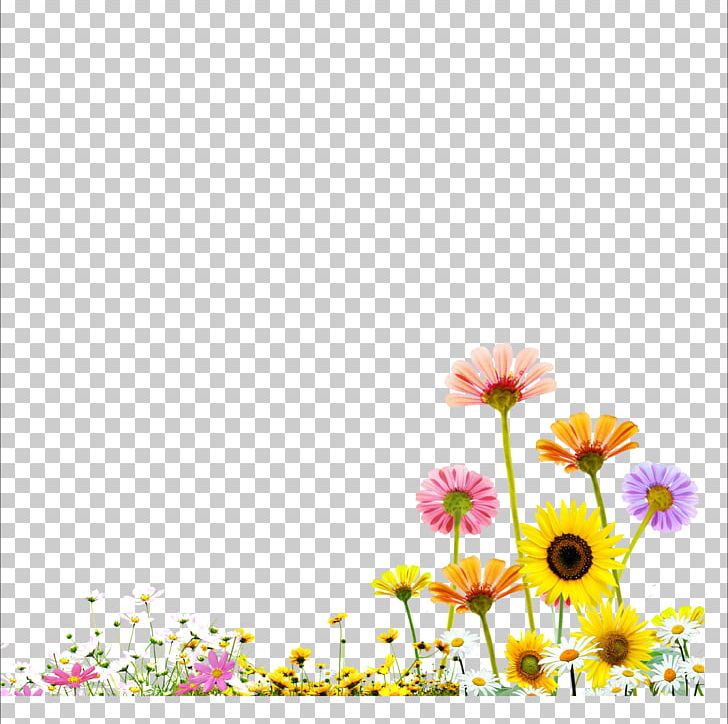 Template Fundal PNG, Clipart, Chrysanthemum Chrysanthemum, Chrysanthemums, Computer Wallpaper, Dahlia, Daisy Family Free PNG Download