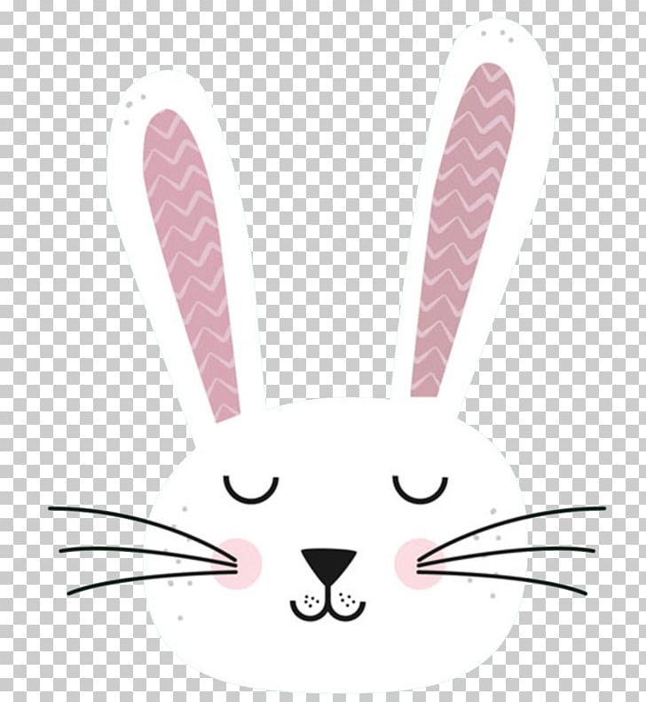 White Rabbit European Rabbit Leporids PNG, Clipart, Angle, Animal, Balloon Cartoon, Boy Cartoon, Cartoon Free PNG Download