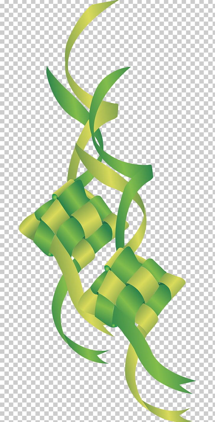Drumband Ketupat Marching Band Hashtag PNG, Clipart, Download, Drum, Flora, Green, Hashtag Free PNG Download