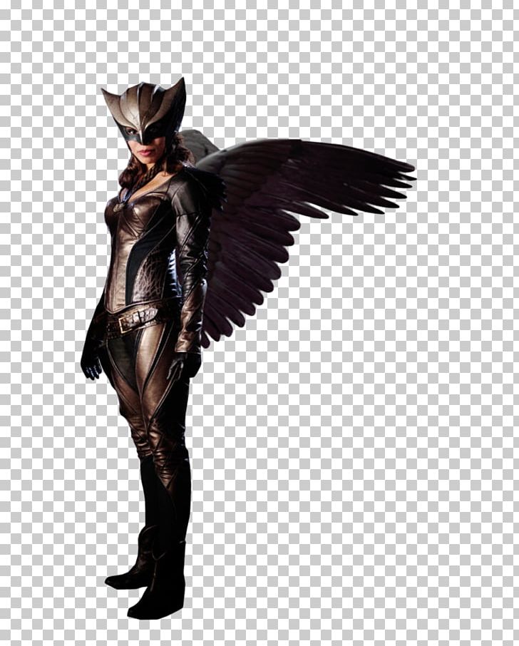 Hawkgirl Hawkman (Katar Hol) Hawkwoman PNG, Clipart, Art, Character, Clip Art, Costume, Costume Design Free PNG Download