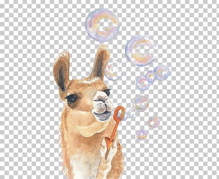 Llama Watercolor Painting Drawing Art PNG, Clipart, Antler, Art, Art Museum, Camel Like Mammal, Canvas Free PNG Download