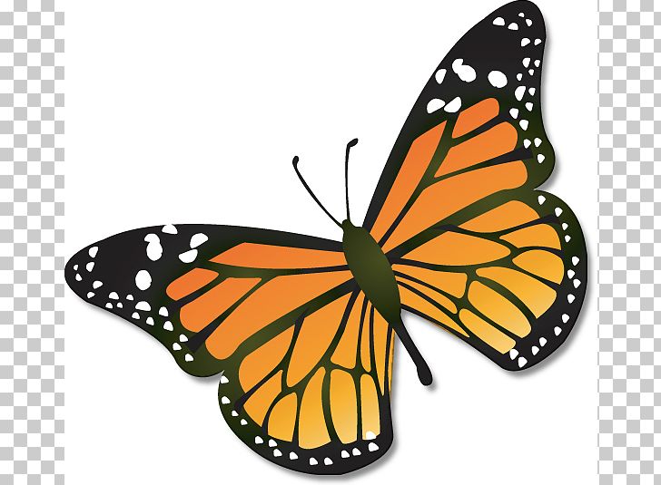 Monarch Butterfly Insect Caterpillar PNG, Clipart, Animal Migration, Arthropod, Brush Footed Butterfly, Butterfly, Butterfly Clip Art Free PNG Download