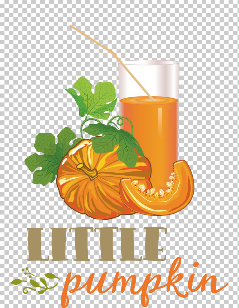 Little Pumpkin Thanksgiving Autumn PNG, Clipart, Autumn, Drawing, Fruit, Juice, Lemon Free PNG Download