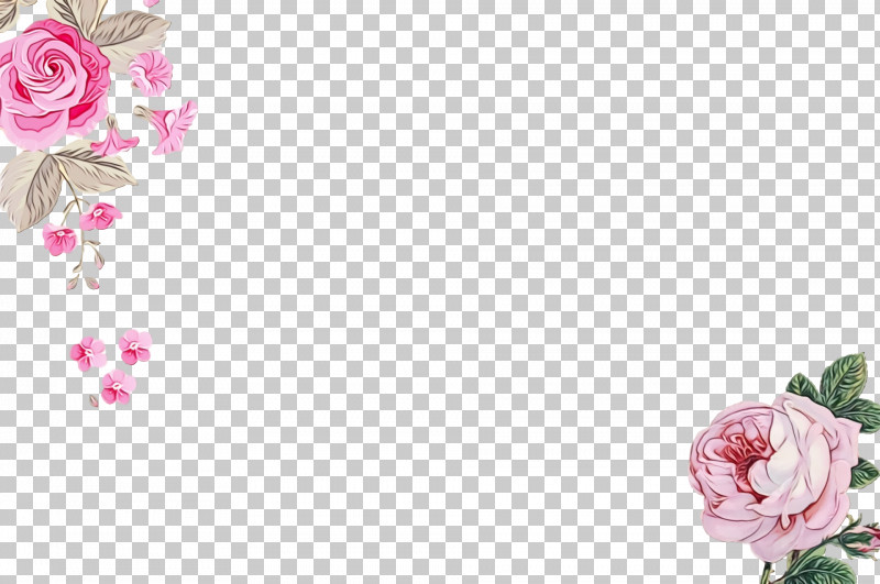 Garden Roses PNG, Clipart, Amen, Cabbage Rose, Cut Flowers, Dua, Faith Free PNG Download