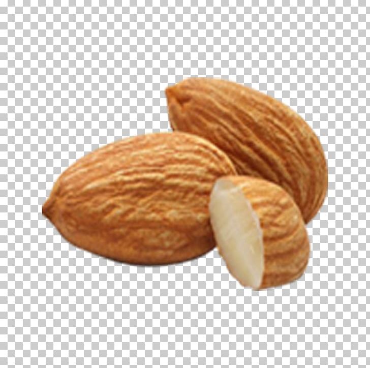 Almond Amygdalin Nut Apricot Kernel Seed PNG, Clipart, Almond, Almond Meal, Almond Milk, Almond Nut, Almond Oil Free PNG Download