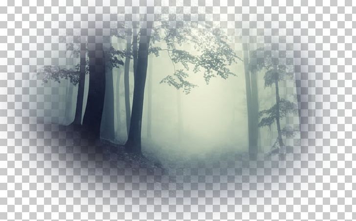 Cloud Forest Mist Fog Haze PNG, Clipart, 1080p, Autumn, Cloud Forest, Computer Wallpaper, Desktop Wallpaper Free PNG Download