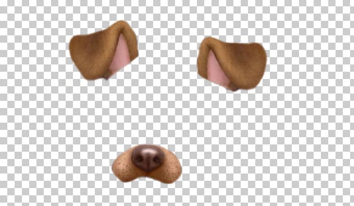 Dog Photographic Filter Standard Test PNG, Clipart, Animals, Avatan Plus, Computer Icons, Copying, Dog Free PNG Download