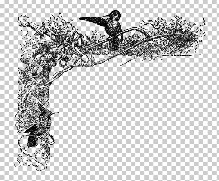 Hummingbird PNG, Clipart, Animals, Art, Beak, Bird, Black And White Free PNG Download
