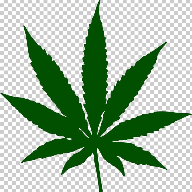 Medical Cannabis Leaf Smoking PNG, Clipart, Cannabinoid, Cannabis, Cannabis Cultivation, Cannabis Sativa, Cannabis Smoking Free PNG Download