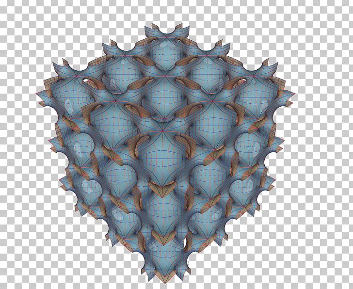 Symmetry Organism PNG, Clipart, Notebook, Organism, Others, Symmetry Free PNG Download